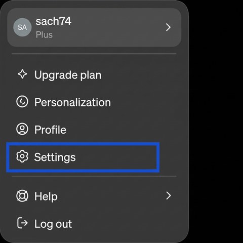 ChatGPT profile menu, bottom left, with the Settings entry highlighted